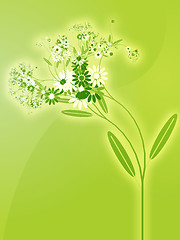 Image showing Flowers illustration