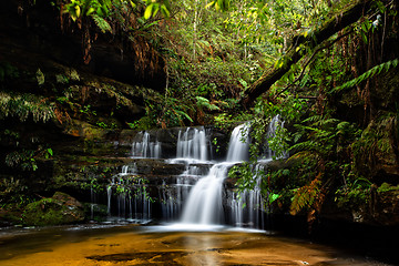 Image showing Blue Mountains Waterfalls in lush gully