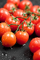 Image showing Fresh organic wet cherry tomatoes bunch closeup on black backgro