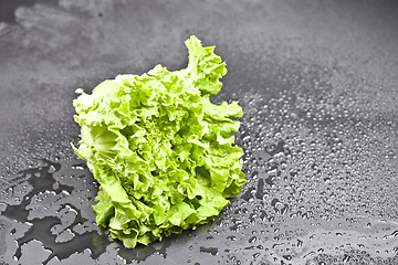 Image showing Green organic lettuce salad with water drops on black background