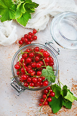 Image showing red currant