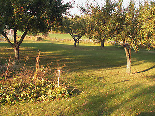 Image showing garden