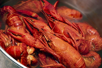 Image showing Fresh red boiled crawfish