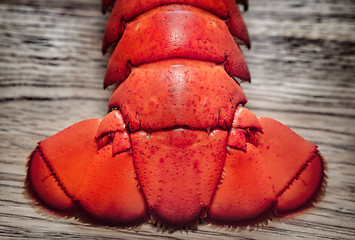 Image showing Boiled Lobster 