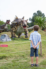 Image showing little boy playing in the adventure dino park.