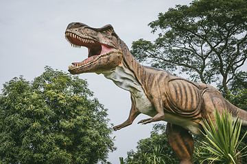 Image showing Tyrannosaurus - prehistoric era dinosaur.