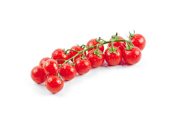 Image showing Fresh organic wet cherry tomatoes bunch isolated on white.