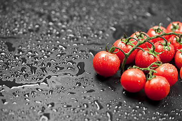 Image showing Fresh organic cherry tomatoes bunch closeup on black wet backgro