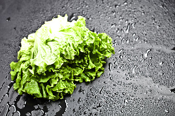 Image showing Green organic lettuce salad with water drops on black background