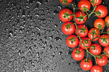 Image showing Fresh organic cherry tomatoes bunch closeup on black wet backgro
