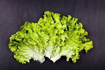 Image showing Green organic lettuce salad leaves on black background.