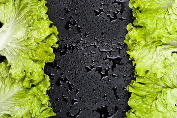 Image showing Green organic lettuce salad leaves frame on wet black background