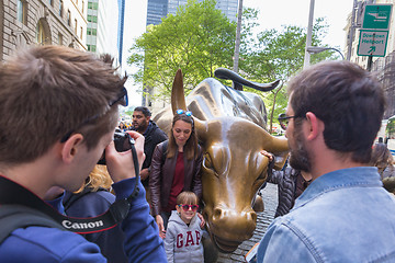 Image showing The landmark Charging Bull in Lower Manhattan represents the strength and power of the American People in New York, USA, on 18th of May, 2018.