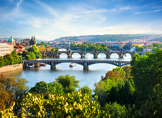 Image showing Row of bridges