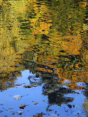 Image showing Autumn Reflection