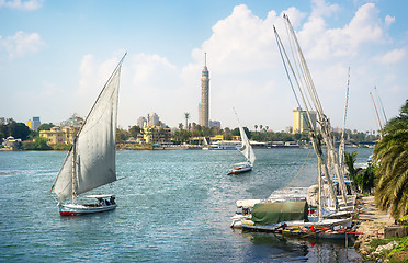 Image showing Sailboats in Cairo