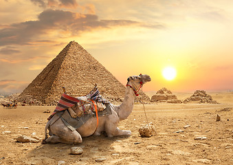 Image showing Pyramids of Giza 