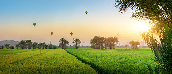 Image showing Green oasis in  desert