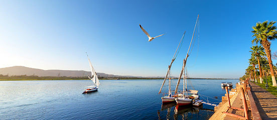 Image showing Sailboat in Aswan