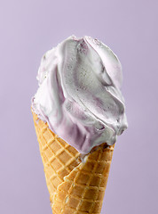 Image showing blueberry ice cream