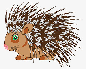 Image showing Animal porcupine on white background is insulated
