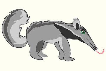 Image showing Wildlife anteater on white background is insulated