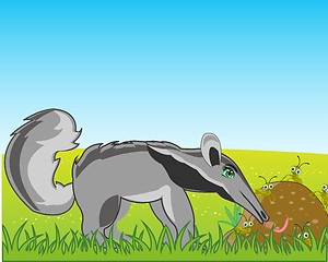 Image showing Animal anteater on glade eats ant in anthill