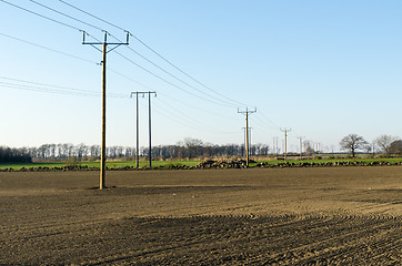 Image showing Power lines in farmers fields