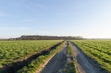 Image showing Country road through a green field by spring season