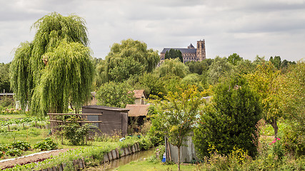 Image showing Bourges Cathedral view from the marshes