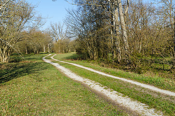 Image showing Winding country road by spring season in a green landscape