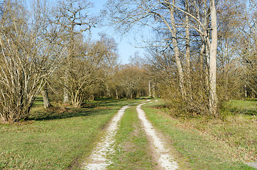 Image showing Winding gravel road by spring season in a green landscape