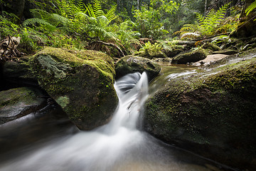 Image showing Spinning waterfall in lush forest