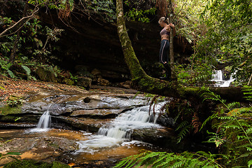 Image showing Exploring waterfalls in lush wilderness