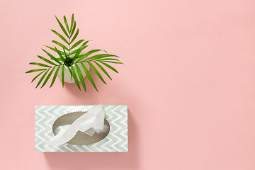 Image showing Tissue box and palm leaves on pink background