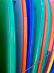 Image showing Surf boards lined up for sale