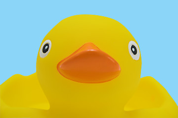 Image showing Rubber duck