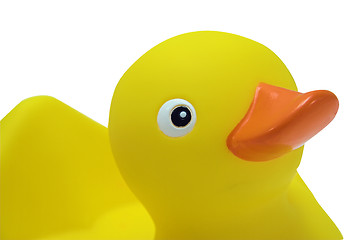 Image showing Rubber duck