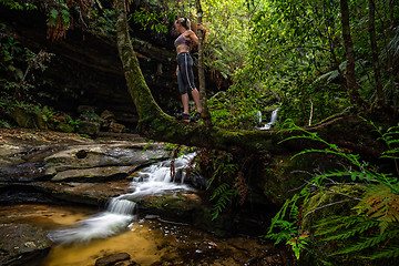 Image showing Exploring lush green gullys with flowing mountain streams