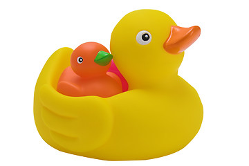 Image showing Ducks