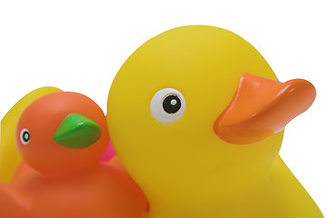 Image showing Rubber ducks