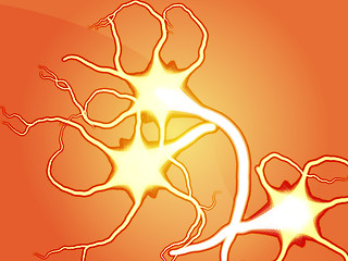 Image showing Nerve cells illustration