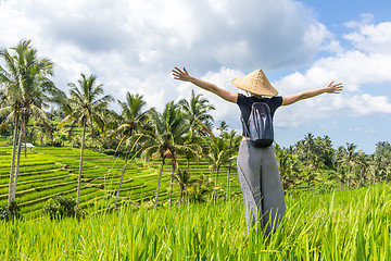 Image showing Relaxed fashionable female traveler wearing small backpack and traditional asian paddy hat, arms rised to sky, enjoying pure nature at beautiful green rice fields and terraces on Bali island