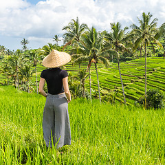 Image showing Relaxed fashionable caucasian female tourist wearing small backpack and traditional asian paddy hat looking at beautiful green rice fields and terraces on Bali island