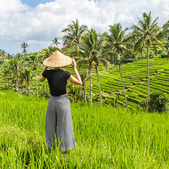 Image showing Relaxed fashionable caucasian female tourist wearing small backpack and traditional asian paddy hat looking at beautiful green rice fields and terraces on Bali island