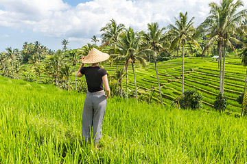 Image showing Relaxed fashionable caucasian female tourist wearing small backpack and traditional asian paddy hat looking at beautiful green rice fields and terraces on Bali island