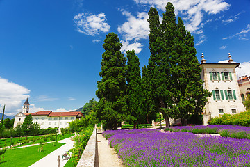 Image showing Alpine village with lavender field 