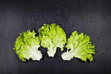 Image showing Green organic lettuce salad leaves on black background. 