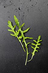 Image showing Three green fresh rucola or arugula leaves.