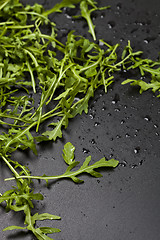 Image showing Green fresh rucola or arugula leaves closeup on black wet backgr